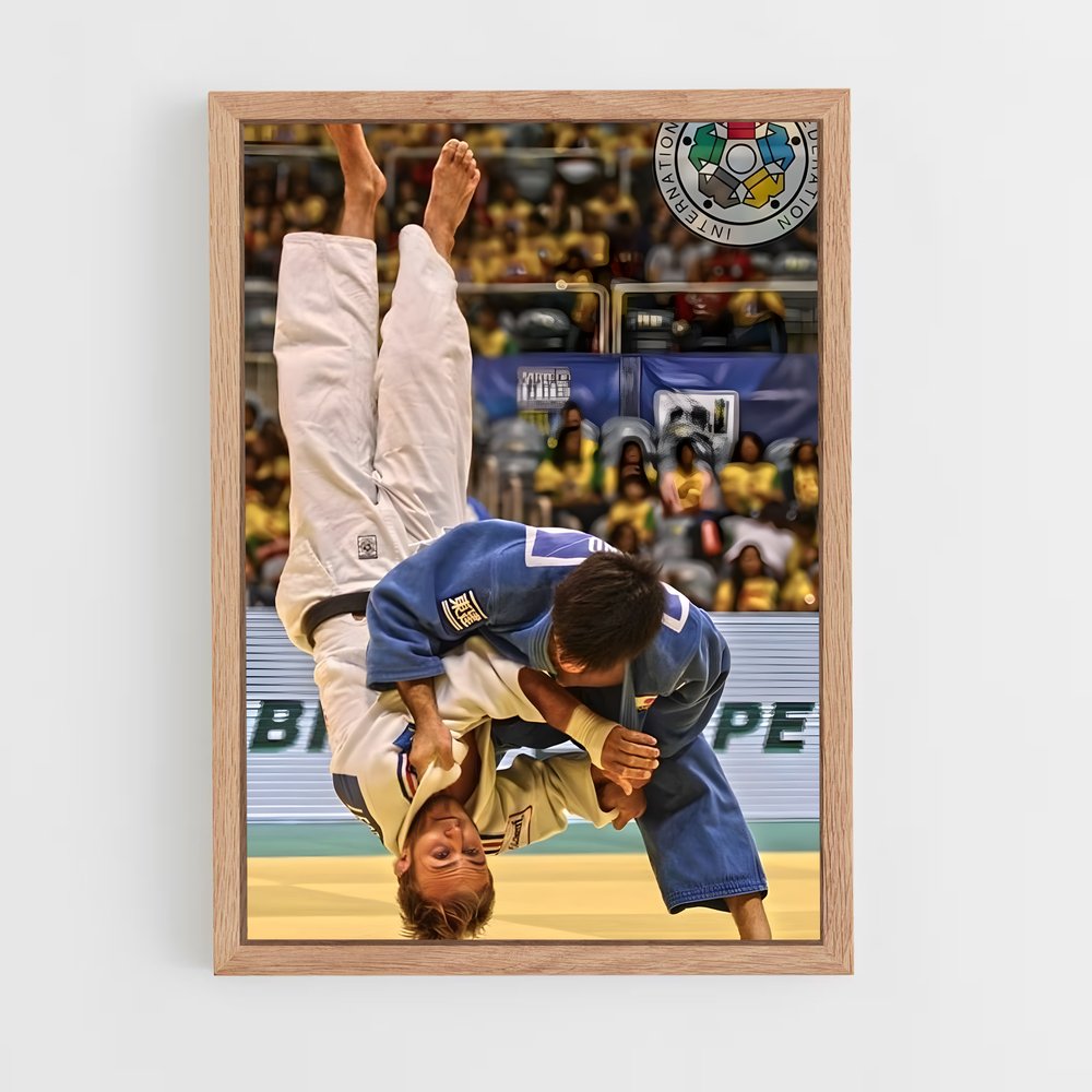 Poster Maître du Judo (vue 4)